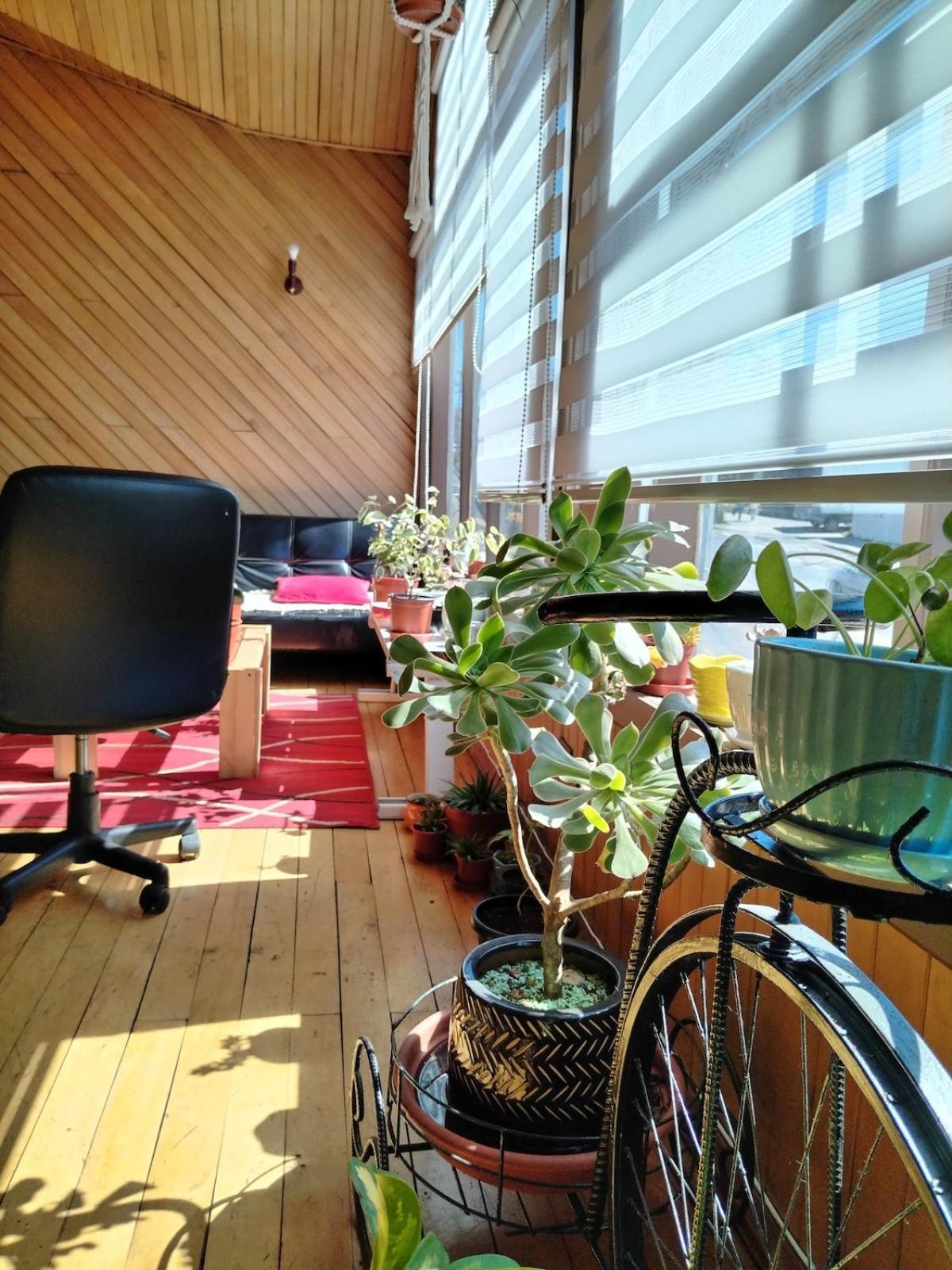 Habitacion Manio Castro Kültér fotó